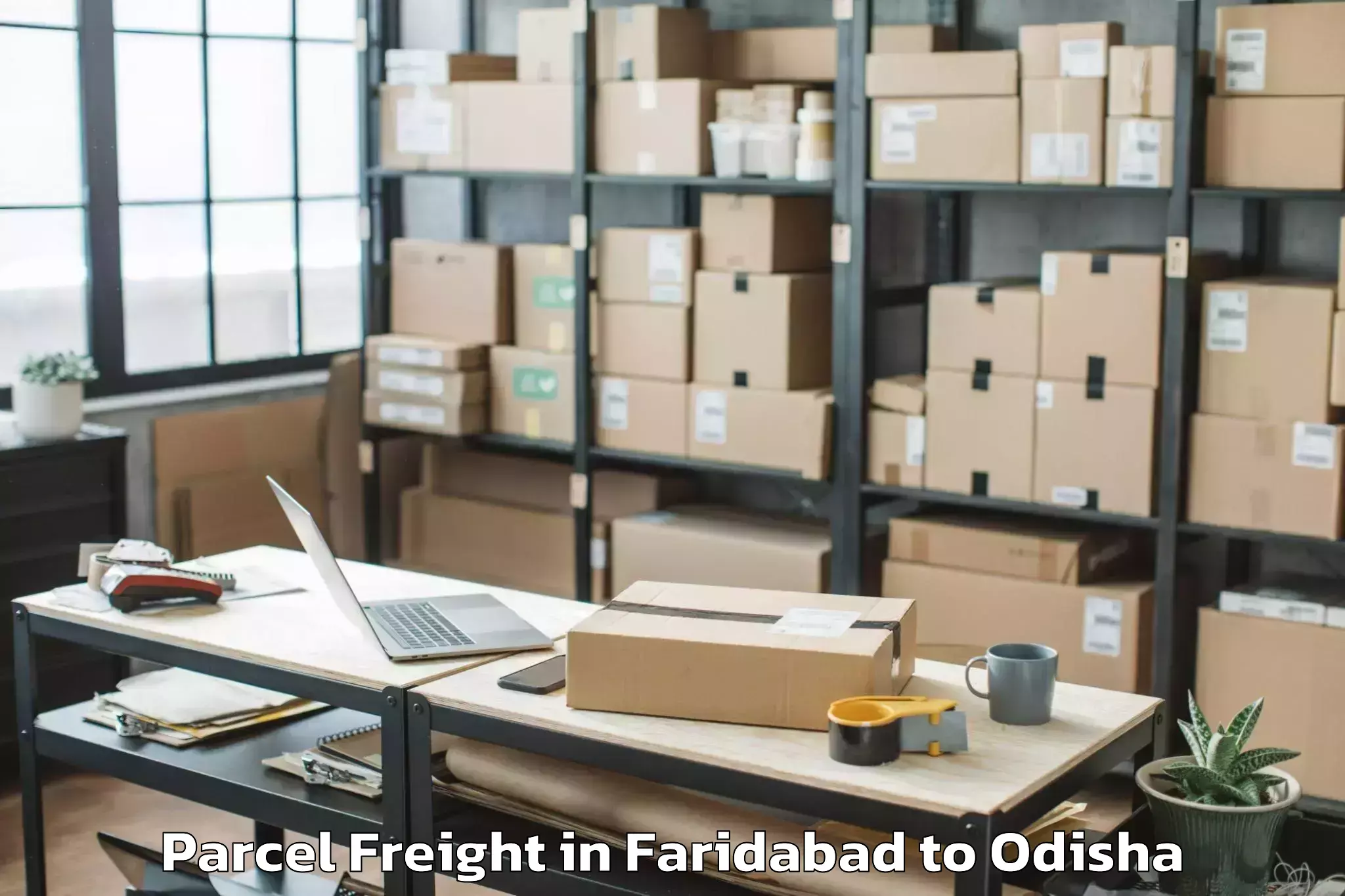 Affordable Faridabad to Chikitigarh Parcel Freight